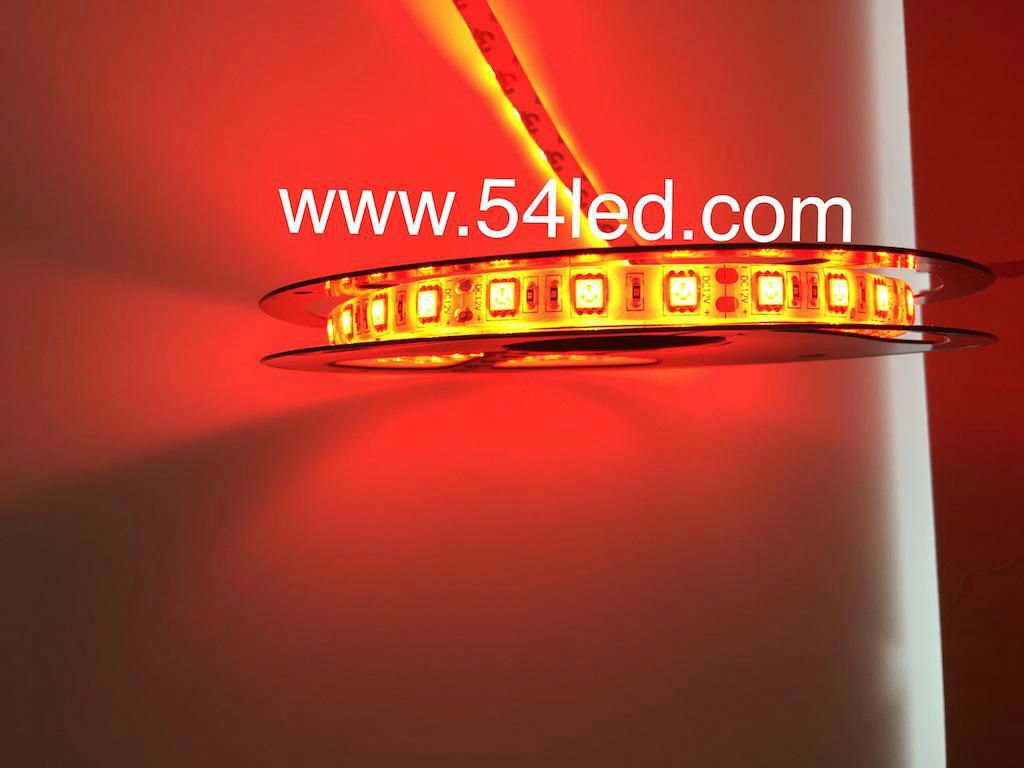 smd 5050 led strip super bright lumen low price high qualtiy  5