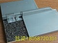 甘蓝430型钛锌板金属屋面系统 2