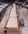 Export Quality Beech Timber most used