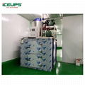 10Ton industrial ice maker flake ice factory machine  3