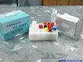  喹諾酮類檢測試劑盒 2