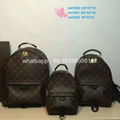 Wholesale               cheap high quality  Backpack replica     en Bag handbags 10