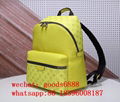 New super AAA best quality Luxury and Fashion               backpack     ackpack 14