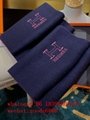 wholesale all kinds brand scarfs Cheap AAA Hermes Cashmere fashion wool scarf