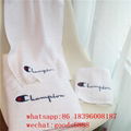 wholesale aaaa+ Louis Vuitton and luxury brand Beach Cotton Bath Towel 