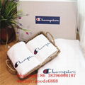 wholesale aaaa+               and luxury brand Beach Cotton Bath Towel  9