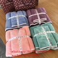 wholesale aaaa+               and luxury brand Beach Cotton Bath Towel  13