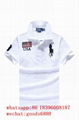 wholesale RL cotton Shorts Polo Shirt Tommy Pony Man Ralph Lauren T-Shirts TEE