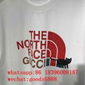 wholesale       best 1:1 aaa quality short t-shirt north face short  cheap tee 6