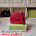 wholesale factory price aaa 1:1 best              Delaney bags MK hally handbags 5