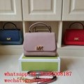 wholesale factory price aaa 1:1 best              Delaney bags MK hally handbags 9