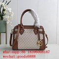 wholesale factory price aaa 1:1 best              Delaney bags MK hally handbags 13