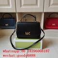 wholesale factory price aaa 1:1 best              Delaney bags MK hally handbags 18
