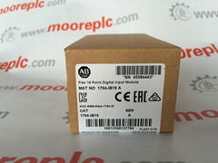 allen bradley plc module 1769-OF8V 