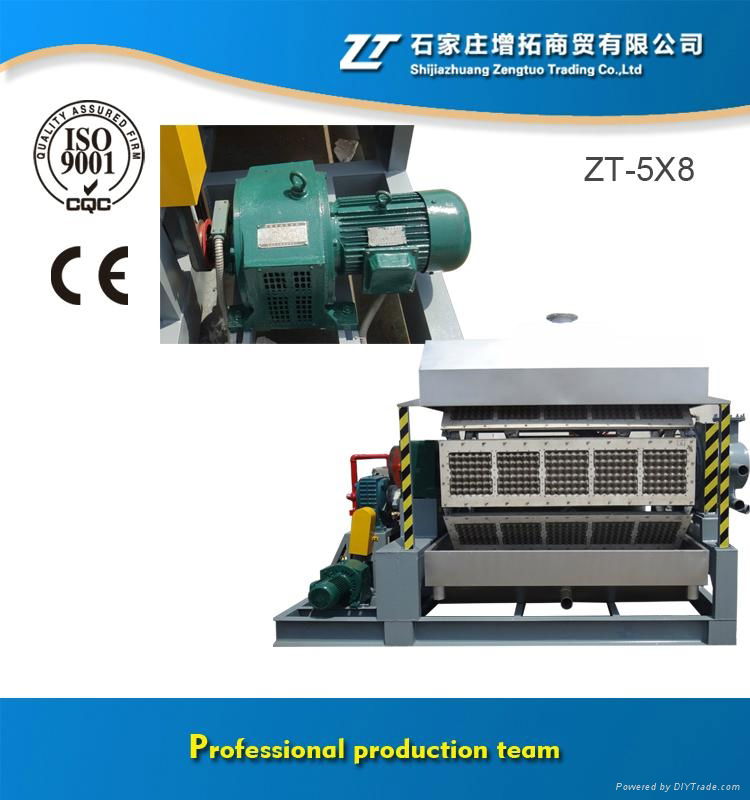 Large Output Egg Tray Machine Factory +86 17732834799 2