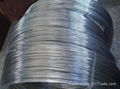 STAINLESS STEEL WIRE 3