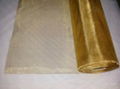 BRASS WIRE MESH