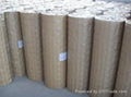 STAINLESS STEEL WELDED MESH 1