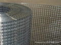 STAINLESS STEEL WELDED MESH 4