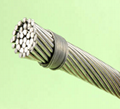 #6201 Aluminium Alloy AAAC Bare Conductor for South America Market 1