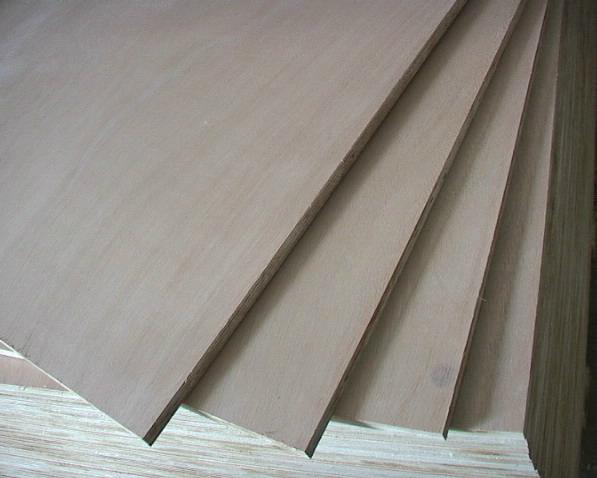 chinese plywood 5