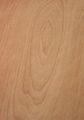 1220*2440 915*2135 1250*2500 Okoume plywood 5