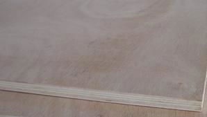 Hot Selling 1220X2440mm Commercial Okoume Plywood 