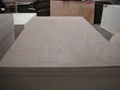 Hot Selling 1220X2440mm Commercial Okoume Plywood  3