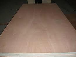 Best Quality and Price Bintangor Plywood Indoor Usage