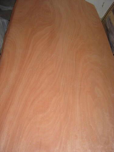 Best Quality and Price Bintangor Plywood Indoor Usage 2