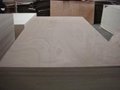 Best Quality and Price Bintangor Plywood Indoor Usage 4