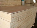 plywood 5