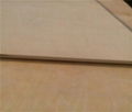 Building Material Film Faced Plywood 2