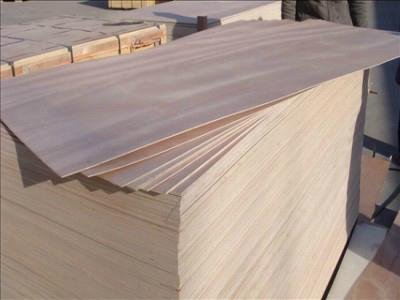 Building Material Film Faced Plywood 3