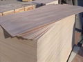 Building Material Film Faced Plywood 3