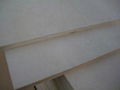 Building Material Film Faced Plywood 4