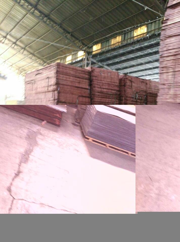 Hot Sale Xuzhou 9mm Commerical Plywood