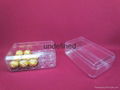 Good Price New Style Durable Rectangle Plastic Candy Box Wholesale 1