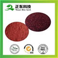 Red Yeast Rice Extract 1