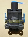 SINOTRUK WG2203250003 Double H valve 1