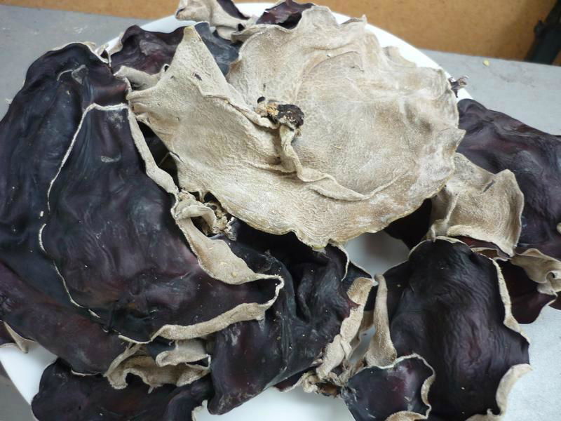 Wood ear mushroom (dried black fungus) from Vietnam