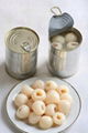 Canned Lychee (litchi) fruit
