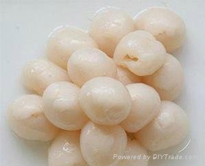 Canned Lychee (litchi) fruit 3