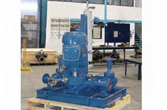 Vertical Single-stage Pipeline Radially Split Pump