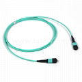 12 Fibers MPO-LC/UPC MM Fiber Optic Patch cord 2