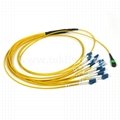 12 Fibers MPO-LC/UPC MM Fiber Optic Patch cord 3