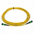 12 Fibers MPO-LC/UPC MM Fiber Optic Patch cord 4