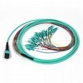 12 Fibers MPO-LC/UPC MM Fiber Optic Patch cord 5