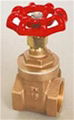 brass gate valve