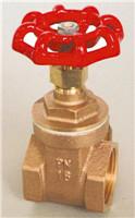 brass gate valve